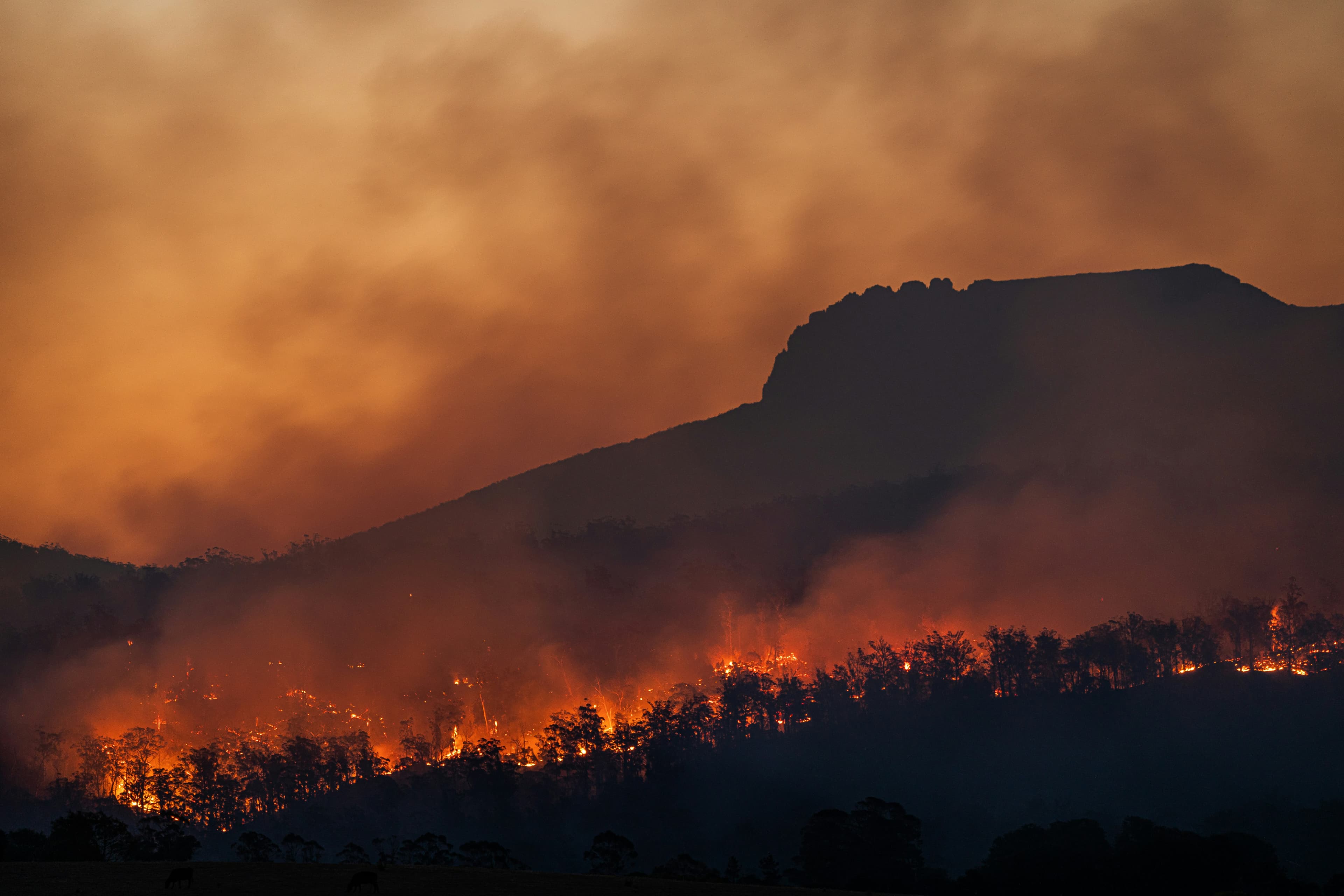 What Is GHG Accounting? Scopes, Standards & 2026 Regulatory Landscape