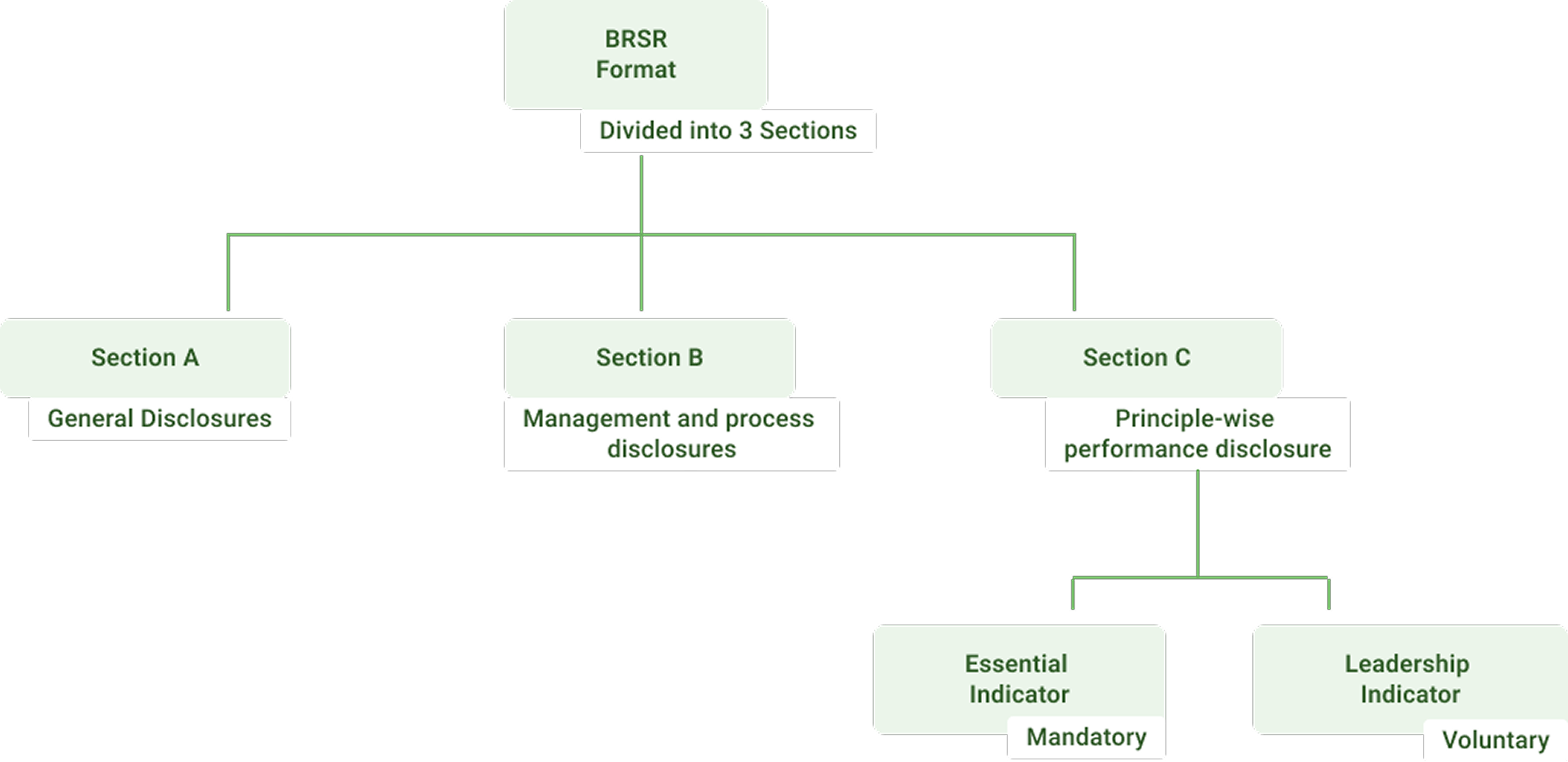 BRSR Framework